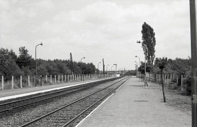 Eisden-Mijn -MZ19187.jpg